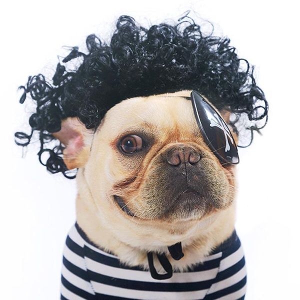 cat costumes 2021 pet dog funny wig plush cosplay props costume halloween christmas easy use festival party comical outfits products
cat costumes 2021 pet dog funny wig plush cosplay props costume halloween christmas easy use festival party comical outfits products