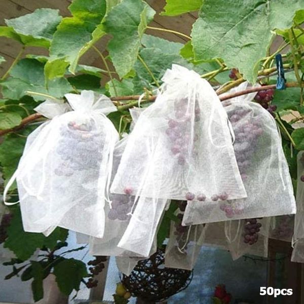 planters & pots 50pcs fruit protection strawberry grapes net bags pest control anti-bird garden drawstring mesh grape bag planter grow
planters & pots 50pcs fruit protection strawberry grapes net bags pest control anti-bird garden drawstring mesh grape bag planter grow