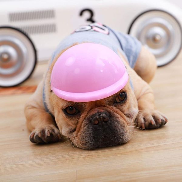 dog apparel helmet puppy cat hat small pet cool fashion plastic outdoor caps protect soft padded safety sun rain protection
dog apparel helmet puppy cat hat small pet cool fashion plastic outdoor caps protect soft padded safety sun rain protection