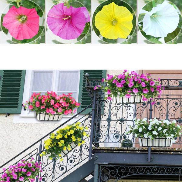 decorative flowers & wreaths artificial morning glory simulation petunia silk cloth fake home decor furnishings garden wall hanging orchid
decorative flowers & wreaths artificial morning glory simulation petunia silk cloth fake home decor furnishings garden wall hanging orchid