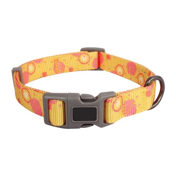 dog collars & leashes pet adjustable training walking collar durable leash for dogs extra control 2 in 1
dog collars & leashes pet adjustable training walking collar durable leash for dogs extra control 2 in 1