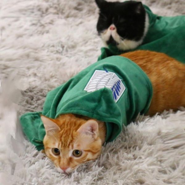 cat costumes pet green cloak dog cosplay costume attack on titan japanese anime scout regiment jiyuu no tsubasa dogs fashion clothes
cat costumes pet green cloak dog cosplay costume attack on titan japanese anime scout regiment jiyuu no tsubasa dogs fashion clothes