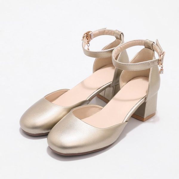 sandals female summer flat round toe single shoes sweet high heels student women princess performance dance silver gold, Black
sandals female summer flat round toe single shoes sweet high heels student women princess performance dance silver gold, Black