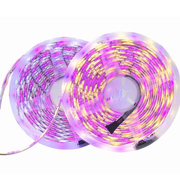 strips 5m rgb led strip light 300 leds dc 12v red green blue warm white pink rgbw cct flexible smd diode ribbon tape lamp
strips 5m rgb led strip light 300 leds dc 12v red green blue warm white pink rgbw cct flexible smd diode ribbon tape lamp