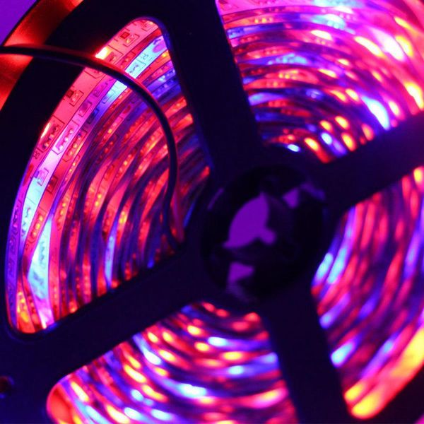 10reels/lot 12v 5m 300leds smd led strip light plant grow non-waterproof aquarium hydroponic flower fill lamp red:blue=3:1 strips
10reels/lot 12v 5m 300leds smd led strip light plant grow non-waterproof aquarium hydroponic flower fill lamp red:blue=3:1 strips