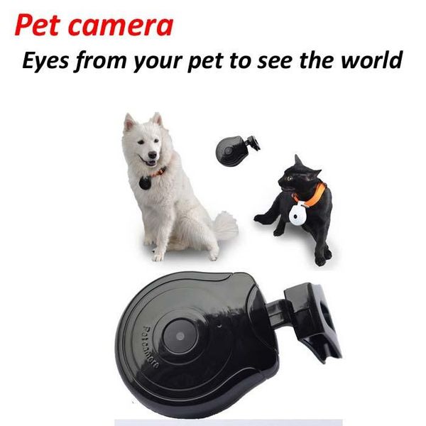 cameras pet camera & automatic dog cat lcd video recorder show owner phone number
cameras pet camera & automatic dog cat lcd video recorder show owner phone number