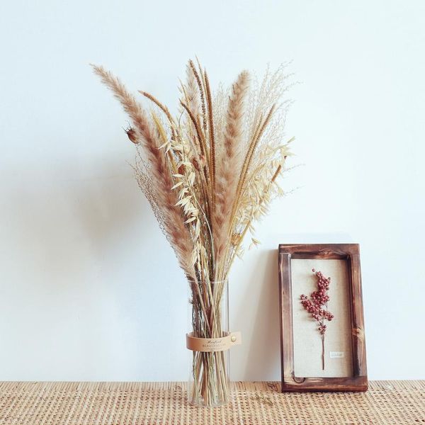 panmpas grass natural dried flower indie room decor home decoration small reed tail wheat ear wedding bounqut decorative flowers & wr wreath
panmpas grass natural dried flower indie room decor home decoration small reed tail wheat ear wedding bounqut decorative flowers & wr wreath
