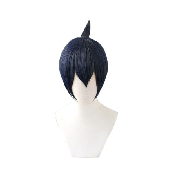 chainsaw man hayakawa aki cosplay wig blue black short synthetic hair wig halloween role play costume wigs
chainsaw man hayakawa aki cosplay wig blue black short synthetic hair wig halloween role play costume wigs
