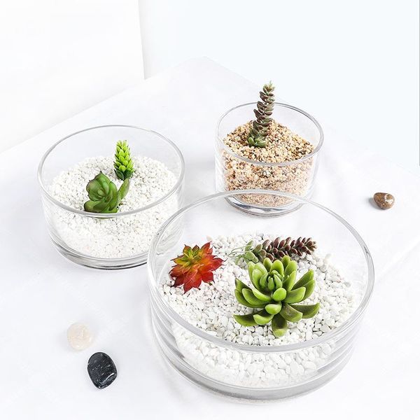 vases round glass pot large transparent hydroponic green daffodil large-capacity short vase potted goldfish tank home decor terrarium
vases round glass pot large transparent hydroponic green daffodil large-capacity short vase potted goldfish tank home decor terrarium