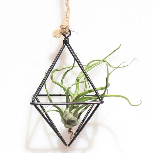 other garden supplies hanging tillandsia air plants rack metal geometric iron art flower pot gardening home office decor
other garden supplies hanging tillandsia air plants rack metal geometric iron art flower pot gardening home office decor