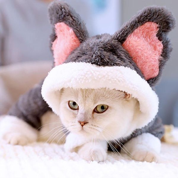 cat costumes pet clothes winter suit warm soft coat outdoor jacket hoodie for cats cute koala outfits products
cat costumes pet clothes winter suit warm soft coat outdoor jacket hoodie for cats cute koala outfits products