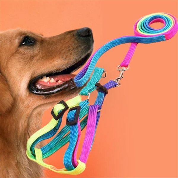 dog pet puppy cat adjustable leash toy necklace ring interactive suitable for small and medium-sized collars & leashes
dog pet puppy cat adjustable leash toy necklace ring interactive suitable for small and medium-sized collars & leashes