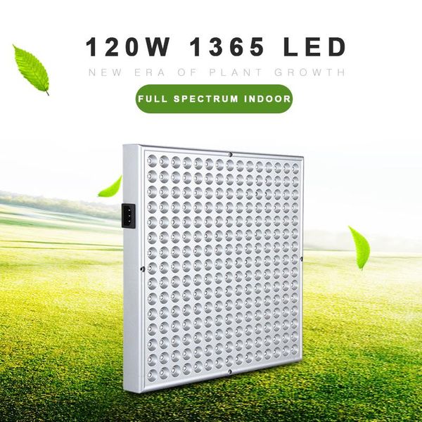full spectrum led grow light plant indoor lamp 120w 1365 grwoth greenhouse phyto fitolamp growing for plants seed tent lights
full spectrum led grow light plant indoor lamp 120w 1365 grwoth greenhouse phyto fitolamp growing for plants seed tent lights