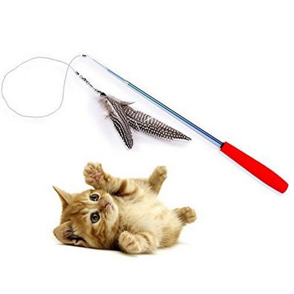 3pcs cat toy interactive retractable wand with replacement assorted feathers for exercising your kitten toys
3pcs cat toy interactive retractable wand with replacement assorted feathers for exercising your kitten toys