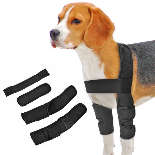 dog apparel knee brace injuries leg joint wrap wounds heals canine front arthritis prevents dogs supplies
dog apparel knee brace injuries leg joint wrap wounds heals canine front arthritis prevents dogs supplies