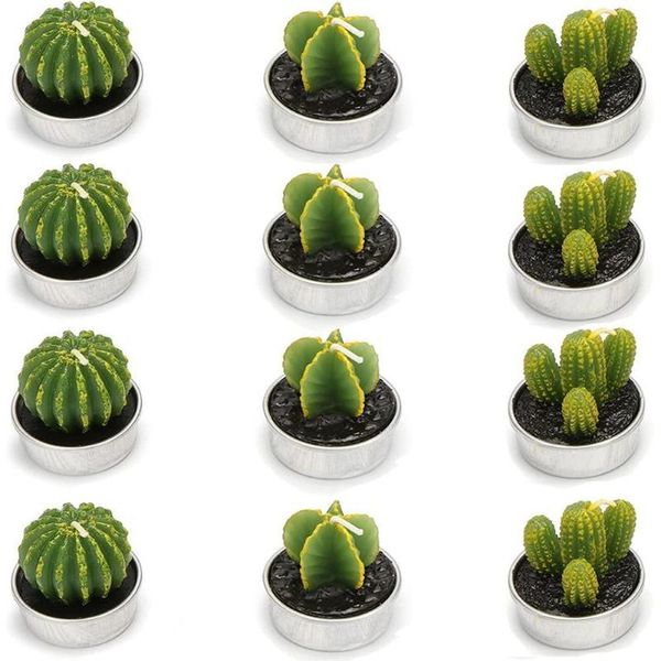 candles 6pcs 3d cactus candle simulated plant set home decoration tea light decor x1t9
candles 6pcs 3d cactus candle simulated plant set home decoration tea light decor x1t9