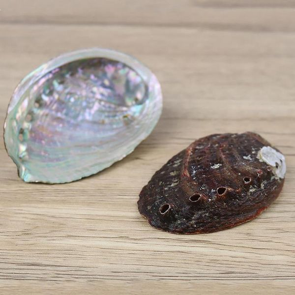 novelty items natural abalone shell large sea shells nautical home decor soap dish diy fish tank aquarium landscape wedding
novelty items natural abalone shell large sea shells nautical home decor soap dish diy fish tank aquarium landscape wedding
