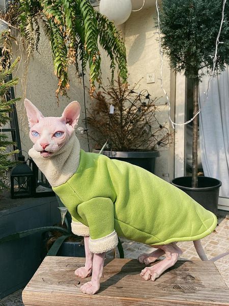 cat costumes sphinx clothes winter warm 100% cotton for sphynx kitten plus velvet thick sphinksu clothing fashion coat jacket
cat costumes sphinx clothes winter warm 100% cotton for sphynx kitten plus velvet thick sphinksu clothing fashion coat jacket