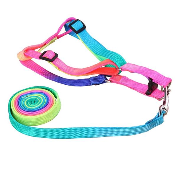 dog collars & leashes pet walking leash harness set outdoor colorful adjustable pull strap kit for dogs supplies products
dog collars & leashes pet walking leash harness set outdoor colorful adjustable pull strap kit for dogs supplies products