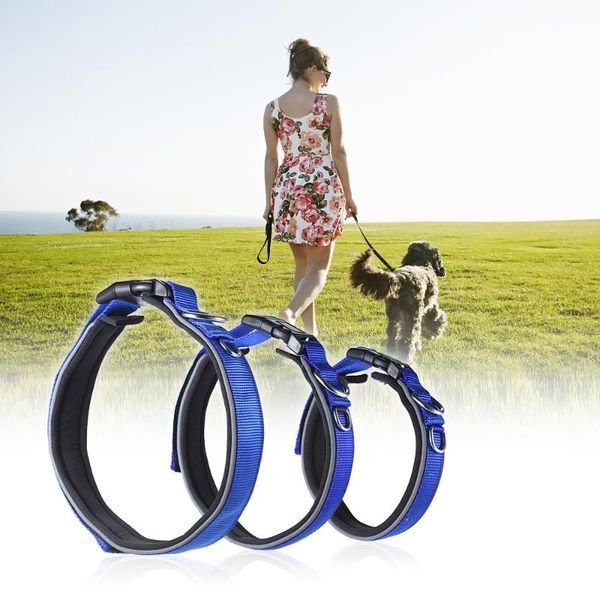 pet dog strong durable collar dual d-ring nylon fasten tape length adjustable comfortable neck collars for dogs & leashes
pet dog strong durable collar dual d-ring nylon fasten tape length adjustable comfortable neck collars for dogs & leashes