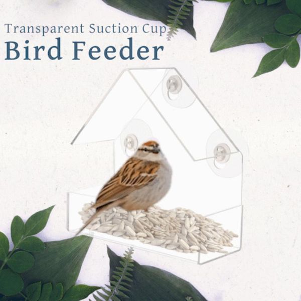 other bird supplies creative multi-purpose window feeders clear glass viewing feed el table peanut hanging suction type feeder
other bird supplies creative multi-purpose window feeders clear glass viewing feed el table peanut hanging suction type feeder