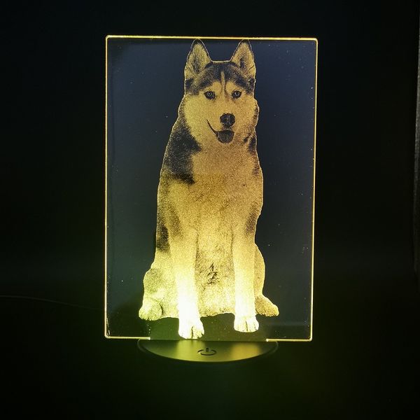 animal night sensor light kids led usb pet dog nightlight 3d lamp bedside siberian husky brown atmosphere decor child holiday gift
animal night sensor light kids led usb pet dog nightlight 3d lamp bedside siberian husky brown atmosphere decor child holiday gift