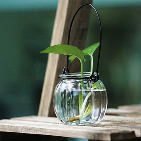 vases creative pumpkin bottle transparent glass water culture flower arrangement wire handle hanging vase
vases creative pumpkin bottle transparent glass water culture flower arrangement wire handle hanging vase