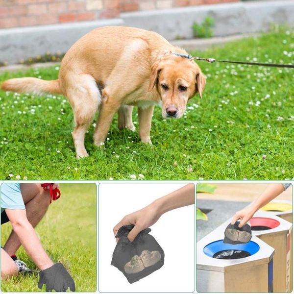 dog car seat covers 50rolls poop bags pet waste garbage biodegradable outdoor carrier holder dispenser clean pick up tools accessories
dog car seat covers 50rolls poop bags pet waste garbage biodegradable outdoor carrier holder dispenser clean pick up tools accessories