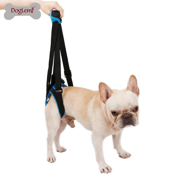 dog collars & leashes adjustable lift harness for back legs pet support sling help weak stand up dogs aid assist tool
dog collars & leashes adjustable lift harness for back legs pet support sling help weak stand up dogs aid assist tool