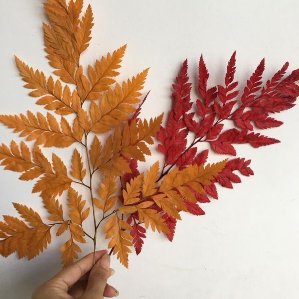 decorative flowers & wreaths 9pcs 16-20cm nature fresh dried arachniodes leaf,diy wedding marriage home gift box decoration eternell flower
decorative flowers & wreaths 9pcs 16-20cm nature fresh dried arachniodes leaf,diy wedding marriage home gift box decoration eternell flower