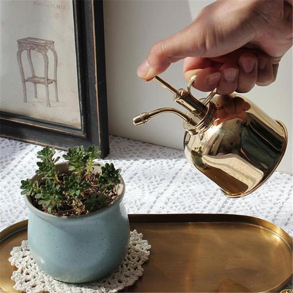 watering equipments 300ml spray bottle vintage brass sprayer household plant jug for home indoor garden
watering equipments 300ml spray bottle vintage brass sprayer household plant jug for home indoor garden