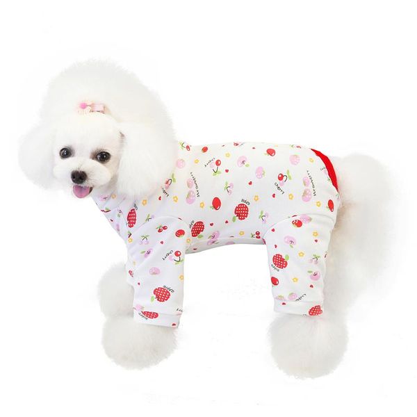dog apparel doggy jumpsuit winter girl overalls rainbow strawberry pajamas clothing for small medium dogs female york pet costume
dog apparel doggy jumpsuit winter girl overalls rainbow strawberry pajamas clothing for small medium dogs female york pet costume
