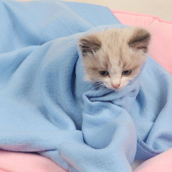 lovely pet dogs cats bed mat blanket soft warm fleece design puppy sofa foldable cushion cover product cat beds & furniture
lovely pet dogs cats bed mat blanket soft warm fleece design puppy sofa foldable cushion cover product cat beds & furniture