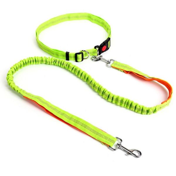 dog collars & leashes night reflective elastic nylon breakaway retractable running hand waist belt jogging leads leash for small pet do
dog collars & leashes night reflective elastic nylon breakaway retractable running hand waist belt jogging leads leash for small pet do