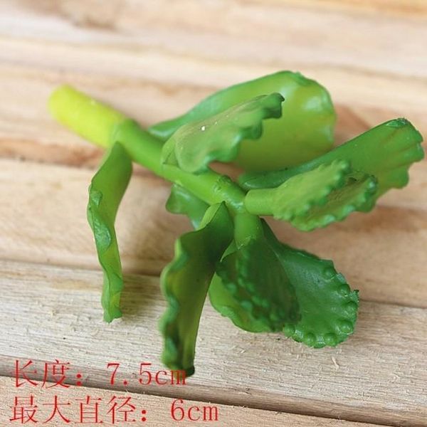 simulation of small green plants potted succulents first single plant decorative artificial flowers multi-pulp & wreaths
simulation of small green plants potted succulents first single plant decorative artificial flowers multi-pulp & wreaths