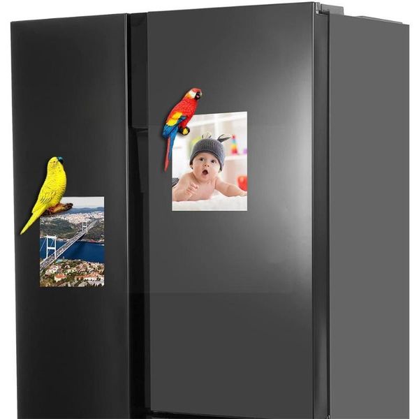 fridge magnets 3d parrot colorful sticker cute home crafts mini resin kitchen on souvenir decoration the gift decor u4u5
fridge magnets 3d parrot colorful sticker cute home crafts mini resin kitchen on souvenir decoration the gift decor u4u5