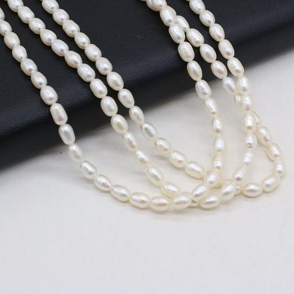 other 100%natural freshwater white pearl rice beads loose pearls bead for jewelry making diy charm bracelet necklace accessories 4-5mm
other 100%natural freshwater white pearl rice beads loose pearls bead for jewelry making diy charm bracelet necklace accessories 4-5mm