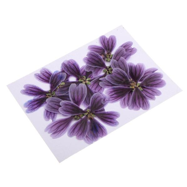 decorative flowers & wreaths 10pcs natural dried pressed lace flower head for phone case decoration 3-5cm making craft diy accessories epoxy
decorative flowers & wreaths 10pcs natural dried pressed lace flower head for phone case decoration 3-5cm making craft diy accessories epoxy
