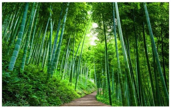 3d po wallpaper custom wall murals landscape mural large bamboo wood board road background paper decor wallpapers
3d po wallpaper custom wall murals landscape mural large bamboo wood board road background paper decor wallpapers