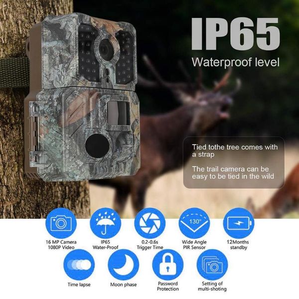 hunting multi-function waterproof low power kit ip65 4 or 8 battery dc :12v-1a camera 16 million pixels cameras
hunting multi-function waterproof low power kit ip65 4 or 8 battery dc :12v-1a camera 16 million pixels cameras
