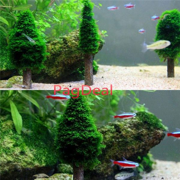 decorations 3pcs pack aquarium fish tank artificial xmas moss christmas tree landscape water plant ornament decoration bonsai
decorations 3pcs pack aquarium fish tank artificial xmas moss christmas tree landscape water plant ornament decoration bonsai