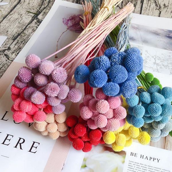 decorative flowers & wreaths 20pcs,natural fresh eternal craspedia bouquet,decorative preserved flower for wedding birthday party home decor
decorative flowers & wreaths 20pcs,natural fresh eternal craspedia bouquet,decorative preserved flower for wedding birthday party home decor