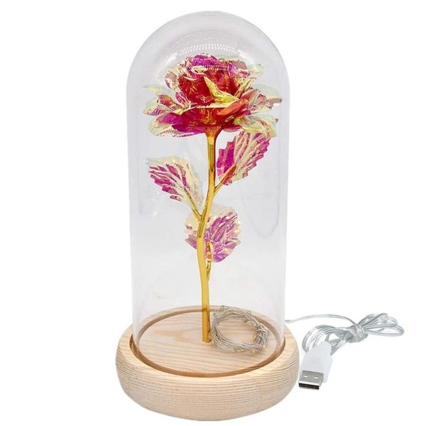 decorative objects & figurines galaxy rose flower led night light in glass e,usb infinity flowers for office home women mother's valent
decorative objects & figurines galaxy rose flower led night light in glass e,usb infinity flowers for office home women mother's valent