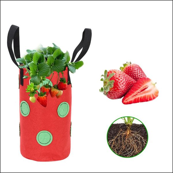 planters & pots 1pc strawberry planter bags for growing potatoes outdoor vertical garden hanging open vegetable planting grow bag flower pot
planters & pots 1pc strawberry planter bags for growing potatoes outdoor vertical garden hanging open vegetable planting grow bag flower pot