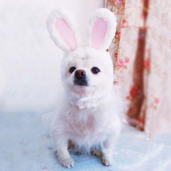 pet dog cat cap costume funny warm plush ear hat party christmas headwear cosplay supplies year gift costumes
pet dog cat cap costume funny warm plush ear hat party christmas headwear cosplay supplies year gift costumes