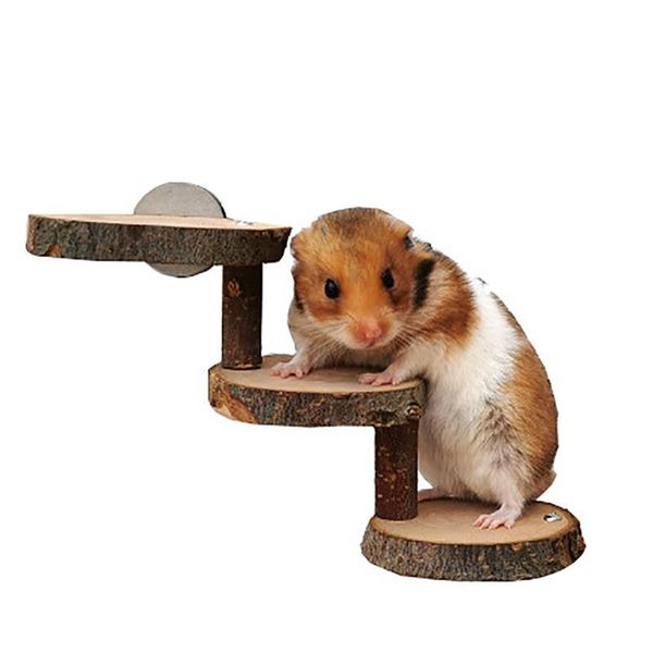 small animal supplies 1pc hamster platform wooden animals climbing ladder chinchilla bridge guinea pig exercise toy accessories
small animal supplies 1pc hamster platform wooden animals climbing ladder chinchilla bridge guinea pig exercise toy accessories