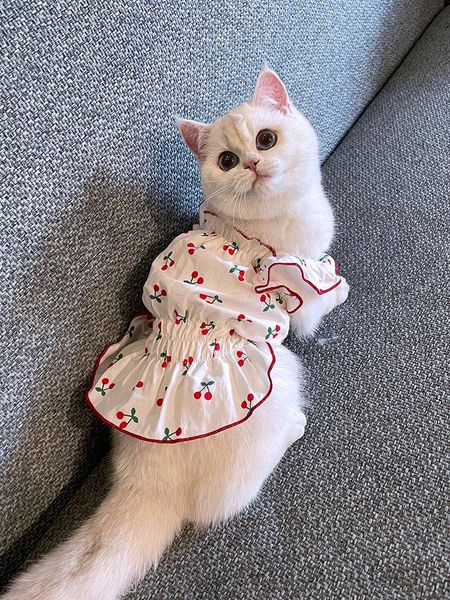 cat costumes spring and summer pet skirt thin section breathable clothes small dogs dog satchel vest dress dresses for cats
cat costumes spring and summer pet skirt thin section breathable clothes small dogs dog satchel vest dress dresses for cats