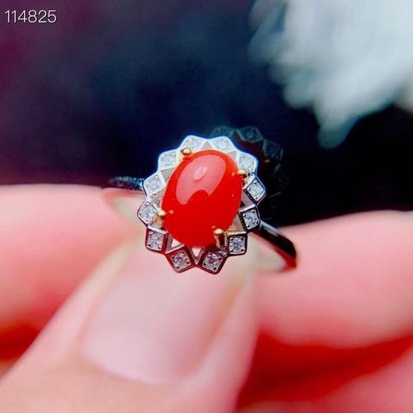 cluster rings jewelry 925 silver coral ring for office woman 6mm*8mm natural red real italian, Golden;silver
cluster rings jewelry 925 silver coral ring for office woman 6mm*8mm natural red real italian, Golden;silver