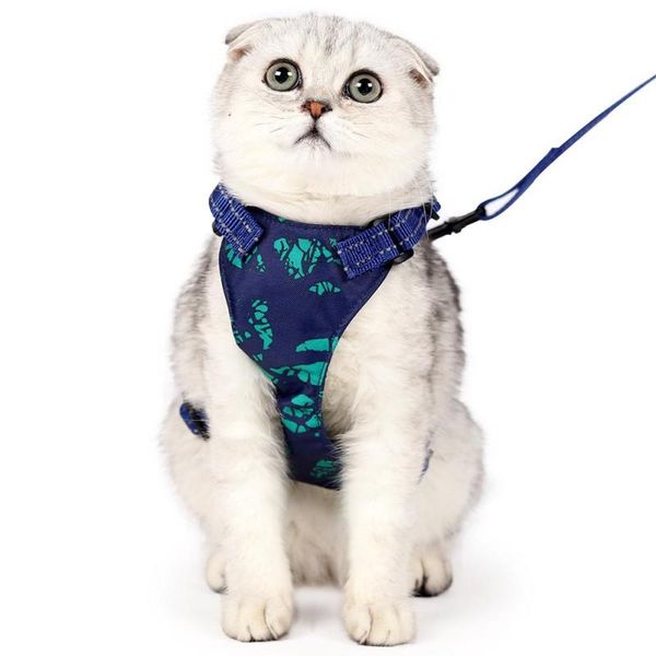 cat collars & leads pet dog lead leash and harness set reflective sling traction rope double disc anti-strike hawaiian style
cat collars & leads pet dog lead leash and harness set reflective sling traction rope double disc anti-strike hawaiian style