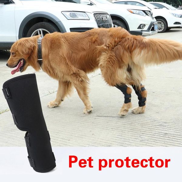 dog apparel 2pcs pet bandages leg knee brace straps protection for dogs joint bandage wrap doggy supplies injury recover
dog apparel 2pcs pet bandages leg knee brace straps protection for dogs joint bandage wrap doggy supplies injury recover